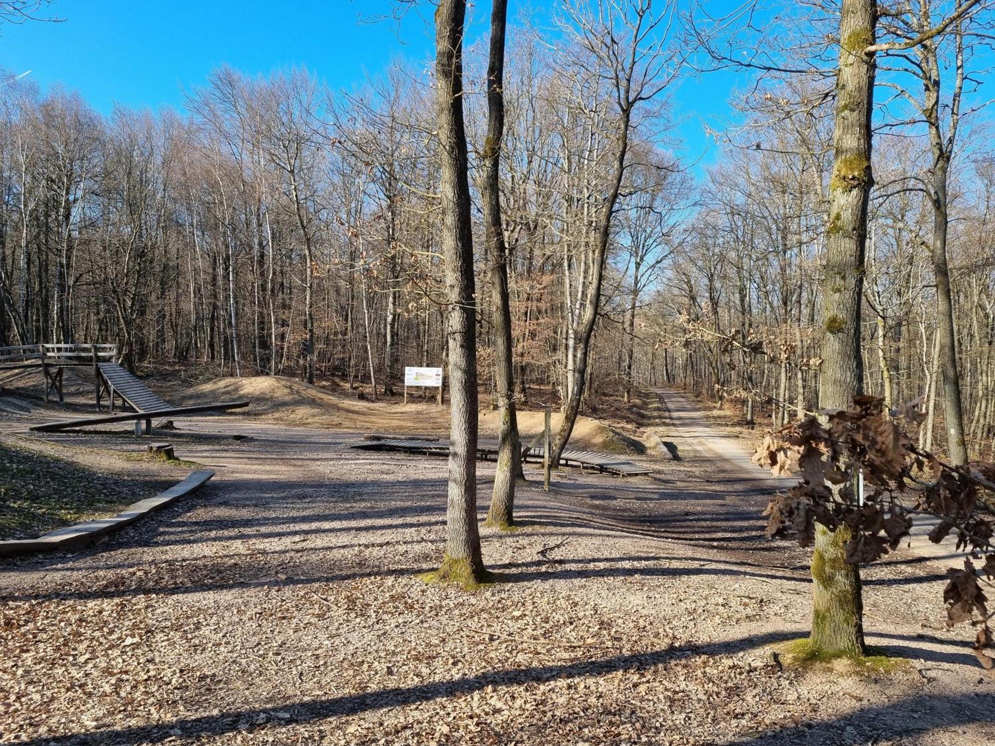 Apartament Freyas Walderlebnis Stromberg (Hunsrueck)